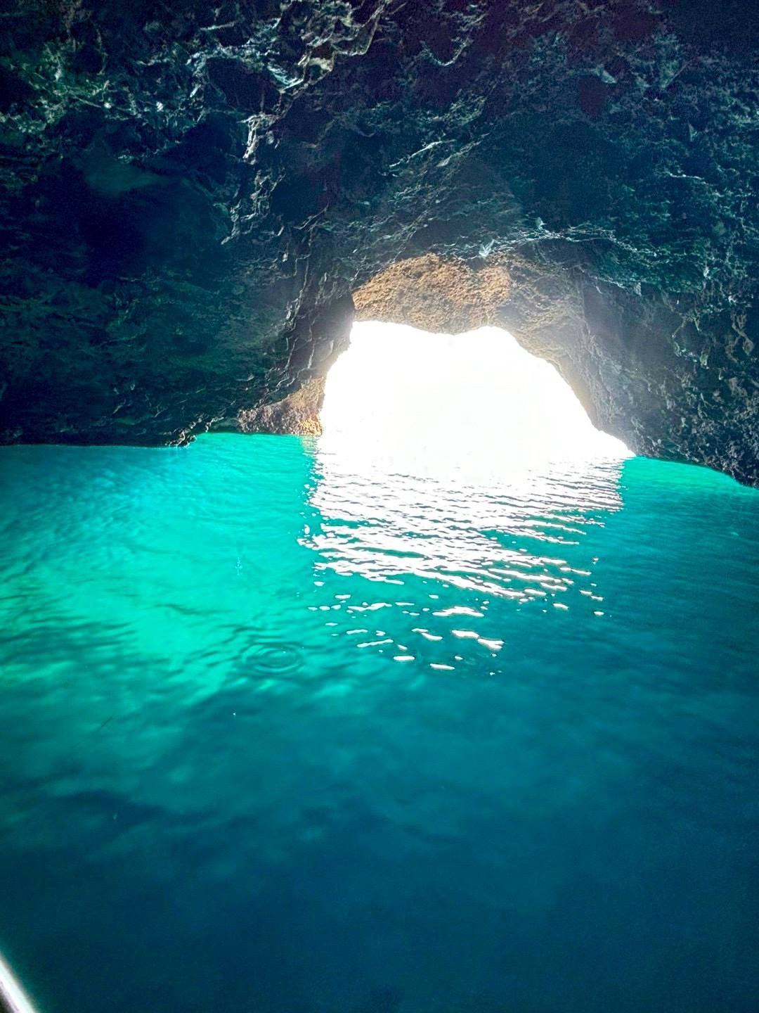 函館クルーズで青の洞窟へ